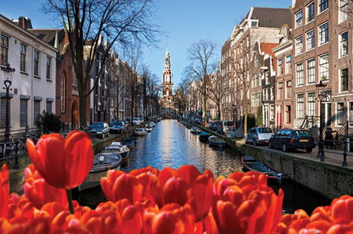 Experience the tulip blooms throughout Holland, the Netherlands, and Canada with Le Boat